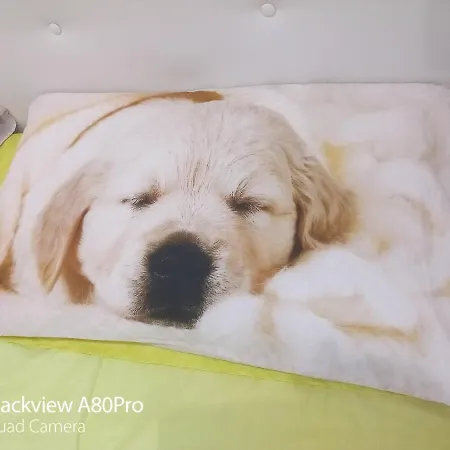 Rosa House Alojamento de Acomodação e Pequeno-almoço 3*