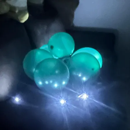 Rosa House Oda ve Kahvaltı *