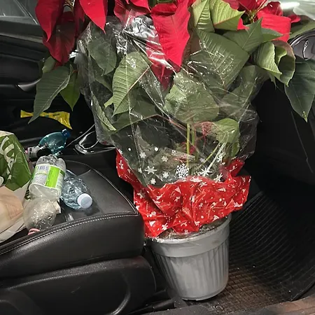 住宿加早餐酒店 Rosa House