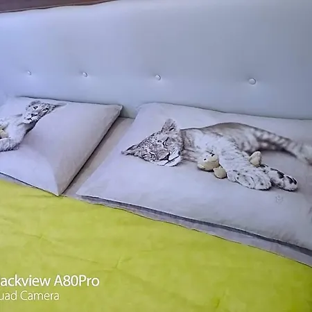 Rosa House Bed & Breakfast