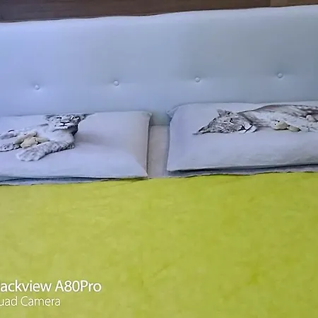 Bed & Breakfast Rosa House 4*