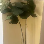 Rosa House Bologna