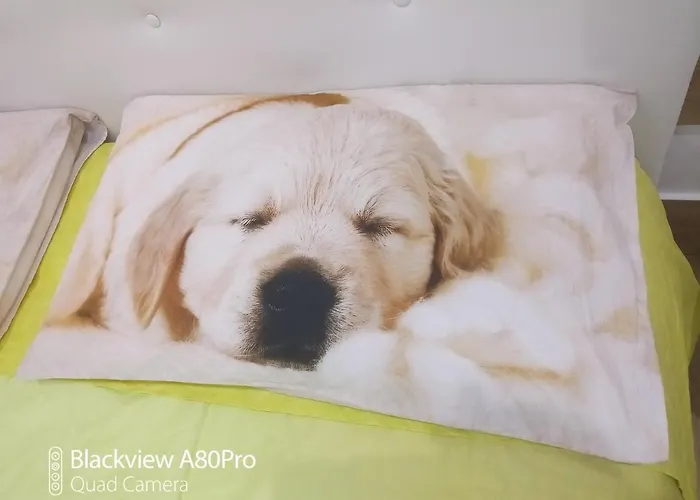 Rosa House ベッド・アンド・ブレックファスト 3*