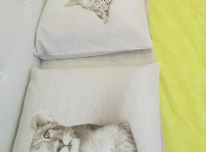 Rosa House 3* ボローニャ