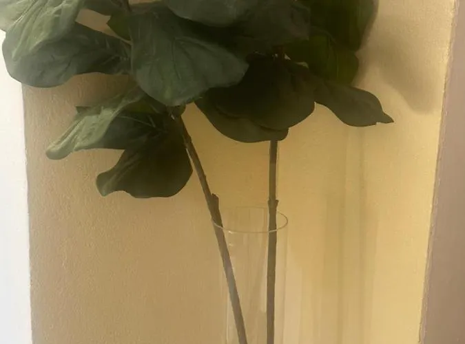 Rosa House ボローニャ